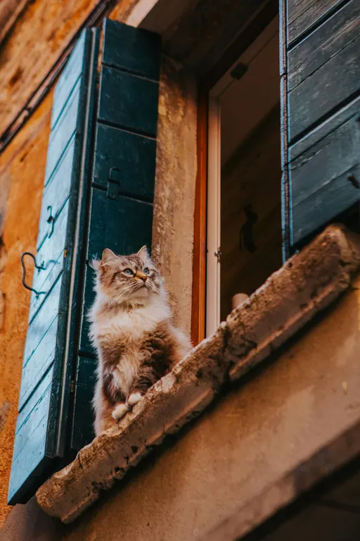 With Hubvanta AI's image to image AI, simply describe how you want to change an image, our AI will interpret your words to craft stunning images that resonate with your vision.